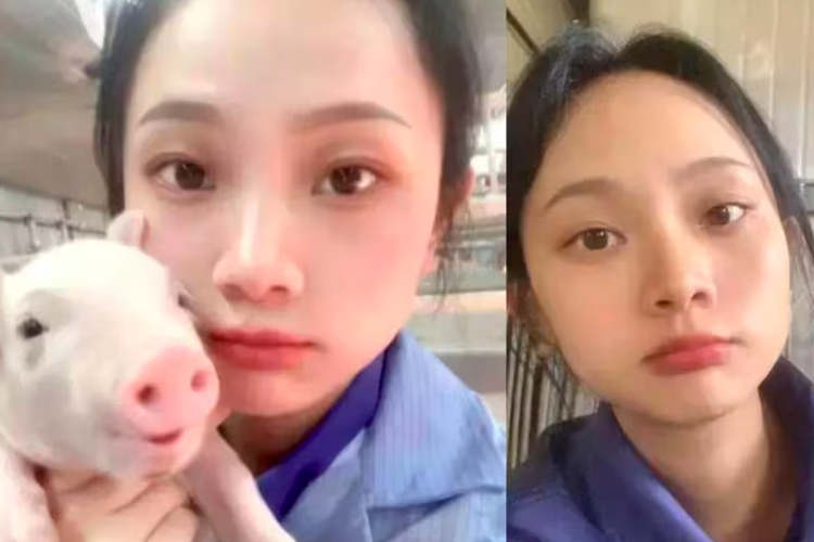 Perempuan ini keluar dari pekerjaanya sebagai PNS dan memilih jadi peternak babi agar tidak stres. 