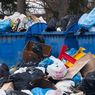 Pemulung dengan Omzet Rp 40 Juta Sebulan Ungkap Triknya Mencari Sampah
