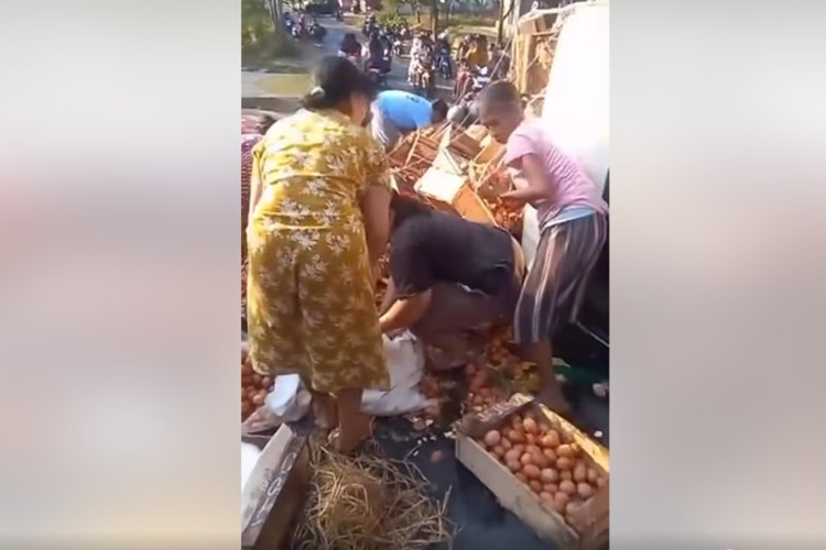 Hanya Bisa Pasrah, Sopir Pikap di Purbalingga Sebut Warga yang Jarah Telurnya Merasa Panen