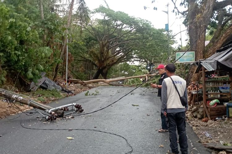 Pohon Tumbang Timpa Tiang Listrik di Mamuju, Akses ke Kantor Gubernur Terganggu