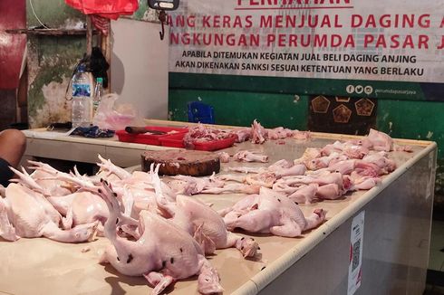 Bingung Harga Ayam Tak Kunjung Turun, Pedagang di Pasar Cibubur: Padahal Stok Banyak