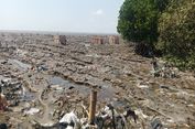 Hutan Mangrove di Surabaya Timur Terancam Dikepung Sampah, Aliran Anak Sungai Seperti TPA