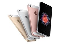 Meluncur Tahun Ini, iPhone SE 2 Ada Dua Versi?