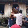 Diduga Keracunan Ikan, Bocah Di Baubau Tewas dan Kedua Orangtuanya Dirawat