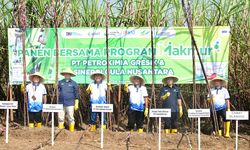 Hasil Program Makmur, Produksi Tebu Naik Jadi 160 Juta Ton Per Hektar