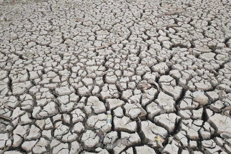 100 Hari Tanpa Hujan di Gorontalo, Ratusan Embung Gagal Tolong Petani