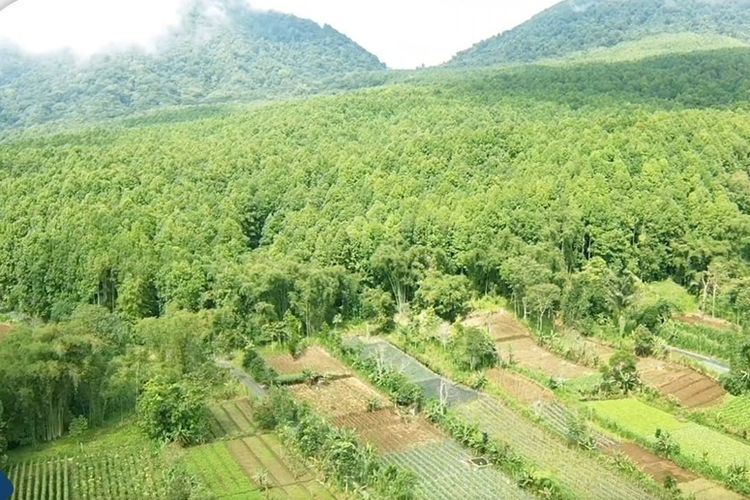 Kementerian ATR/BPN Percepat Proses Penyelesaian Penguasaan Tanah dalam Kawasan Hutan di Desa Bangli