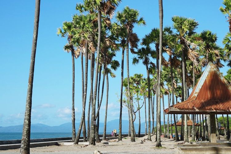 Pantai Lasiana, Kota Kupang