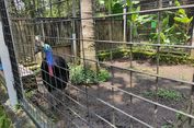 Cara Menuju ke Taman Satwa Cikembulan Garut Jawa Barat