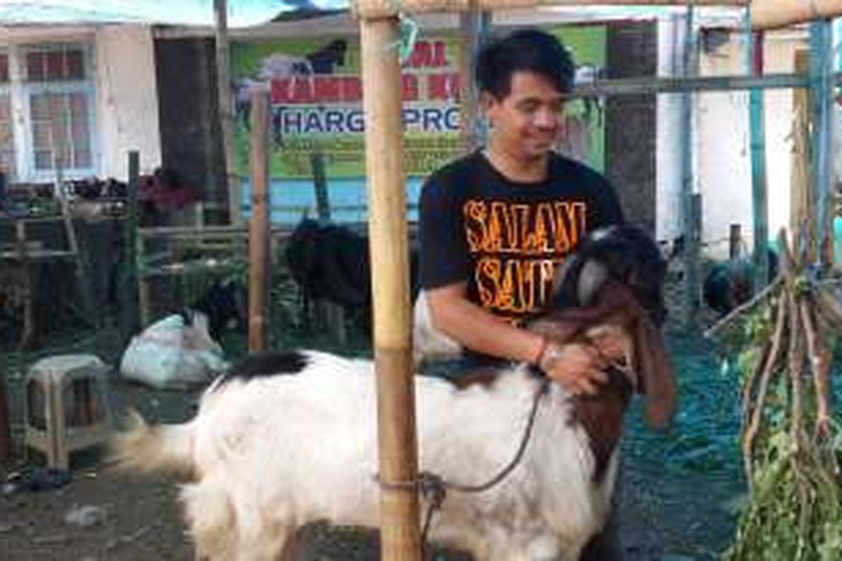 Hadi Purnomo, salah satu penjual kambing kurban di Kota Malang, Jawa Timur saat menunjukkan kambing yang dijualnya, Selasa (6/9/2016)