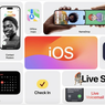 iOS 17 Bisa Deteksi Wajah Hewan, Cari Foto Peliharaan Makin Gampang