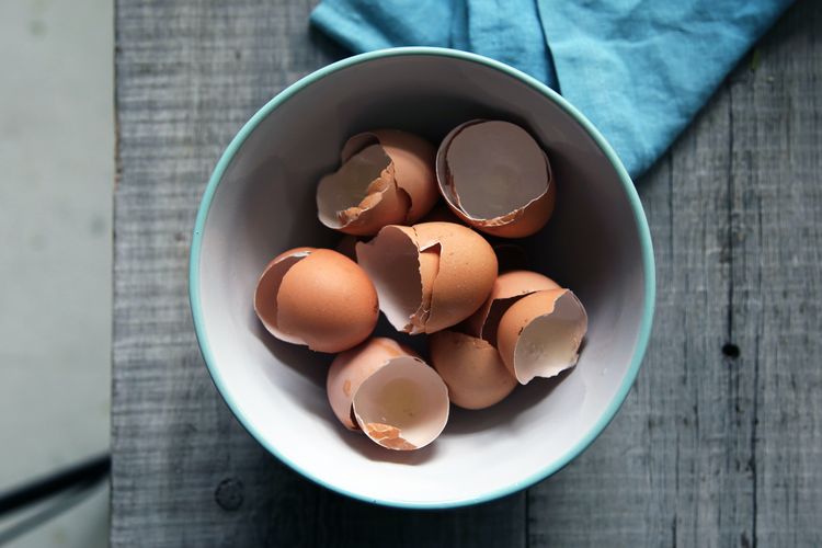 Cangkang telur untuk pupuk alami