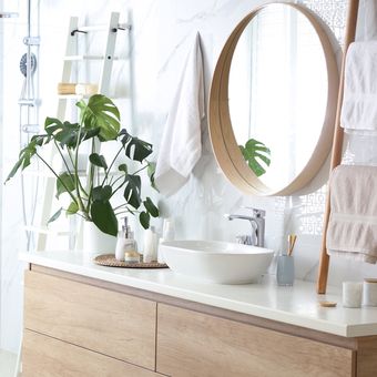 Ilustrasi tanaman hias di kamar mandi. Jika Anda tinggal di rumah kontrakan, Anda bisa mendekorasi kamar mandi dengan meletakkan beberapa tanaman hias. 