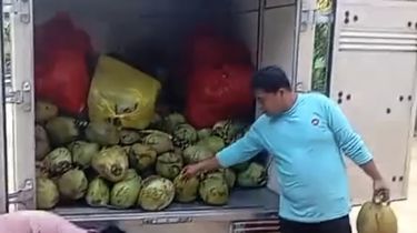 Viral Menu MBG Kelapa Muda di Pamekasan, SPPG Sebut 1 Butir untuk 2 Hari