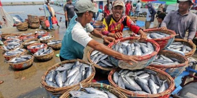 Nelayan membongkar muat ikan jenis tongkol (Euthynnus sp) hasil tangkapan nelayan di Pelabuhan Pendaratan Ikan (PPI) Samudera, Banda Aceh, Aceh, Selasa (8/10/2019). 