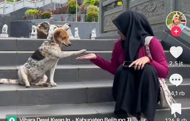 Viral, Video Seorang Wanita di Babel Tiba-tiba Diajak Bersalaman ...
