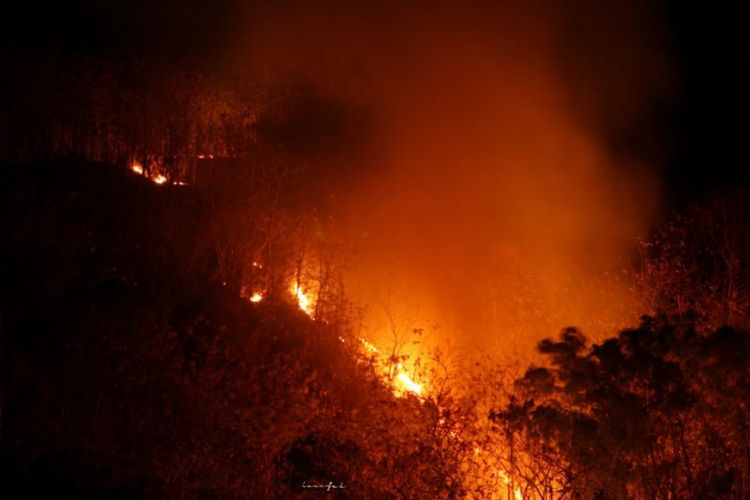 Pemandangan kebakaran yang terjadi di kebun warga di Telogolelo, Kokap, Kulon Progo. Foto merupakan dokumentasi Polsek Kokap. 