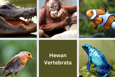 Klasifikasi Hewan Vertebrata, Ciri-ciri, dan Habitatnya