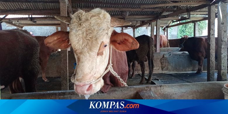 Kementan Paparkan Upaya Penanganan dan Pengendalian PMK di Indonesia Halaman all - Kompas.com