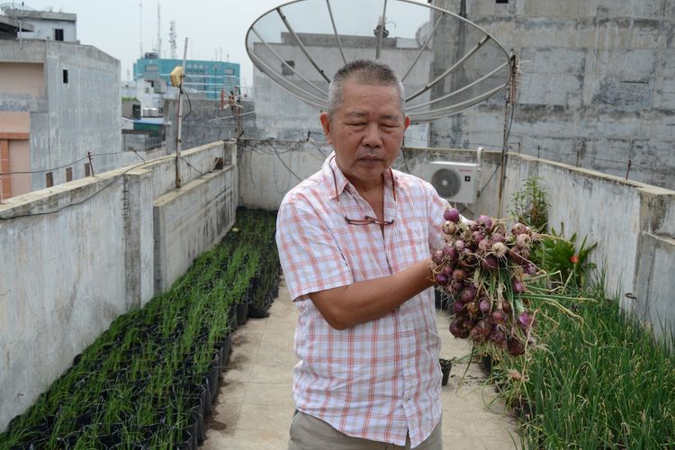 Pak Kim menunjukkan bawang merah hasil panen yang ditanamnya di ruko lantai 5 di Jalan Mesjid, Kelurahan Kesawan, Kec. Medan Barat. Pak Kim melawan keterbatasan lahan dengan menanam berbagai tanaman di lantai paling atas rukonya.  