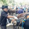 Ini Cara Memilih Hewan Kurban di Yogya, Salah Satunya Punya Surat Keterangan