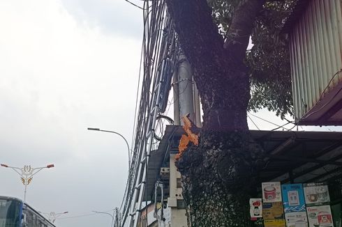 Dahan Pohon yang Patah dan Timpa Kendaraan di Kramatjati Sering Tertabrak Truk