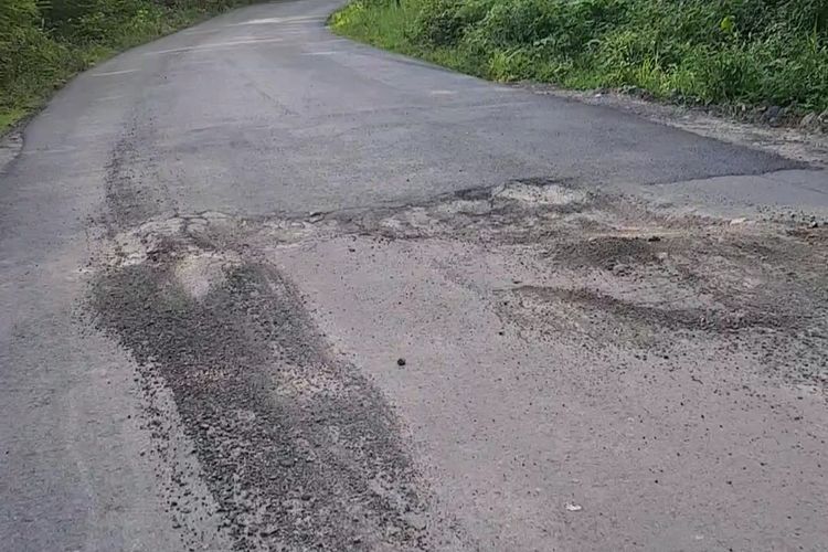 Kondisi jalan beraspal yang mulai rusak di wilayah Blora - Randublatung, Jawa Tengah, Jumat (10/3/2023)