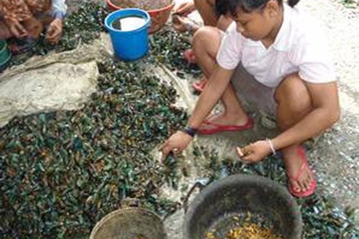 Maria (15), sedang mengupas kerang di kawasan Cilincing, Jakarta Utara, Selasa (22/7). Kesulitan ekonomi membuat bocah asal Bangka ini berhenti sekolah kelas V SD.