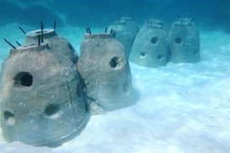 Sudah 47 stupa yang dilepaskan ke dalam laut. Semua masih di sekitaran pulau Rabu Rabu.