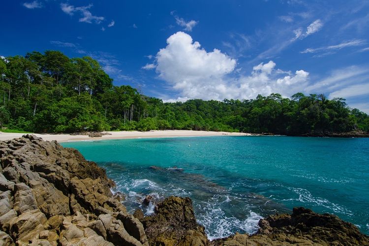 Pantai Teluk Hijau (Green Bay) di Banyuwangi DOK. Shutterstock/krisbiantoandy