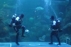 Meriahkan Piala Dunia 2018, Sea World Hadirkan Sepak Bola Dalam Air