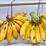 Jenis Pisang Terbaik untuk Membuat Es Pisang Ijo, Pilih yang Manis