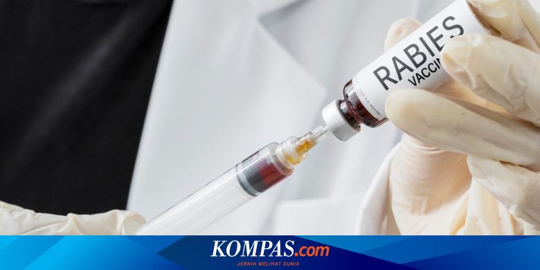 Mengapa Rabies Sering Terjadi pada Anak-anak?