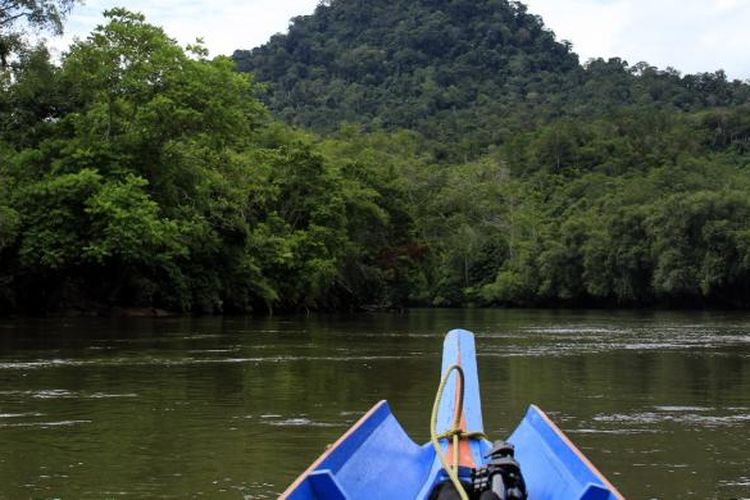 Haluan Ces (sampan khas orang Dayak) mengarah ke bukit batu karst, dalam perjalanan dari Long Isun, Kecamatan Long Pahangai ke Tiong Hoang, Kecamatan Long Apari di Kabupaten Mahakam Hulu, Kalimantan Timur.