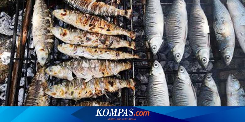 Mabok Ikan 24 Jam Di Makassar Halaman All Kompas Com