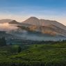 Mendaki Gunung Gede Pangrango Saat Musim Hujan, Ini Panduannya