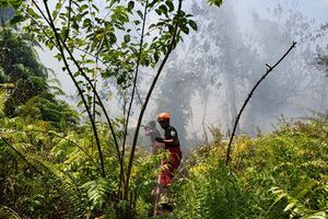 Hampir Tanpa Istirahat Padamkan Karhutla, Damkar Kukar Terkendala BBM hingga Sumber Air