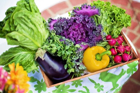4 Cara Simpan Sayur Organik, Tahan Seminggu dan Tetap Segar