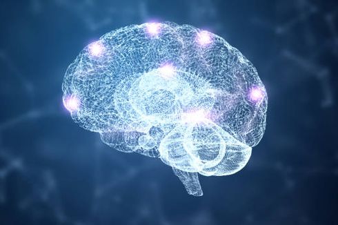 Studi Ungkap Dampak Puasa Intermiten bagi Otak