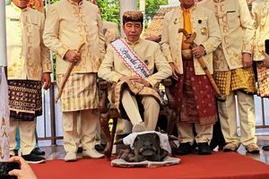 Jokowi Injak Kepala Kerbau: PDI-P Menyoroti, PSI Klarifikasi