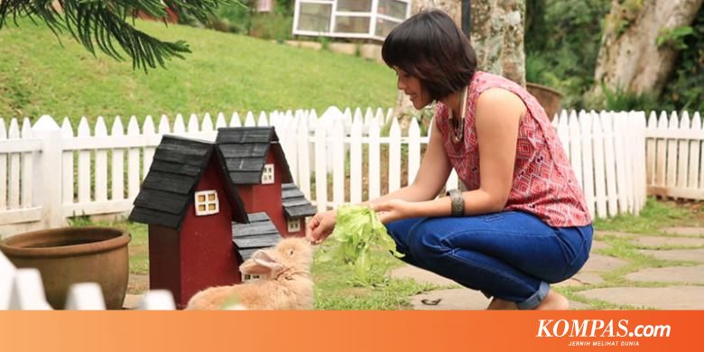 Pro Dan Kontra Pilih Kelinci Sebagai Hewan Peliharaan Anak Halaman