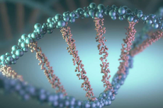 Genetika: Pengertian dan Ruang Lingkup