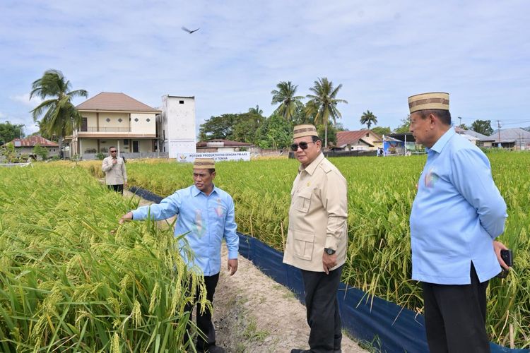 Cek Teknologi Pertanian Modern, Prabowo: Kita Bisa Jadi Lumbung Padi Dunia