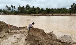 BRIN Soroti Banjir Sumatera, Indonesia Dinilai Tak Belajar dari Sejarah