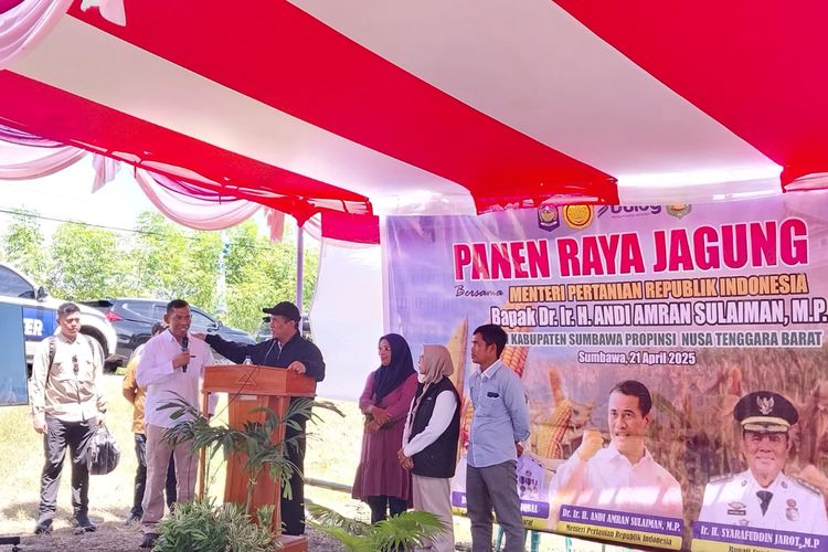 Menteri Pertanian Ancam Copot Pinca Bulog Sumbawa Jika Tak Cepat Serap Jagung dan Gabah Petani
