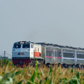 Ilustrasi kereta api. KA Bangunkarta dan Singasari pakai rangkaian Stainless Steel New Generation.