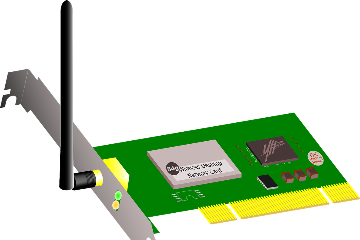 Ilustrasi LAN Card atau NIC (Network Interface Card).