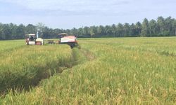 Dapat Fasilitas Alsintan, Petani di Cilegon Siap Hadapi Musim Tanam Kedua