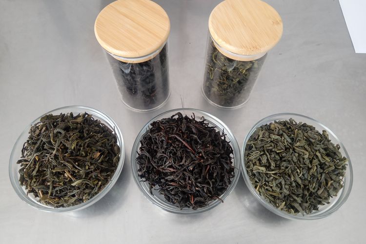 Ilustrasi jasmine tea, black tea, dan green tea, kelompok bahan active untuk meracik teh.
