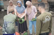 Petani Saritani Boalemo Kembangkan Padi Ladang yang Hampir Punah